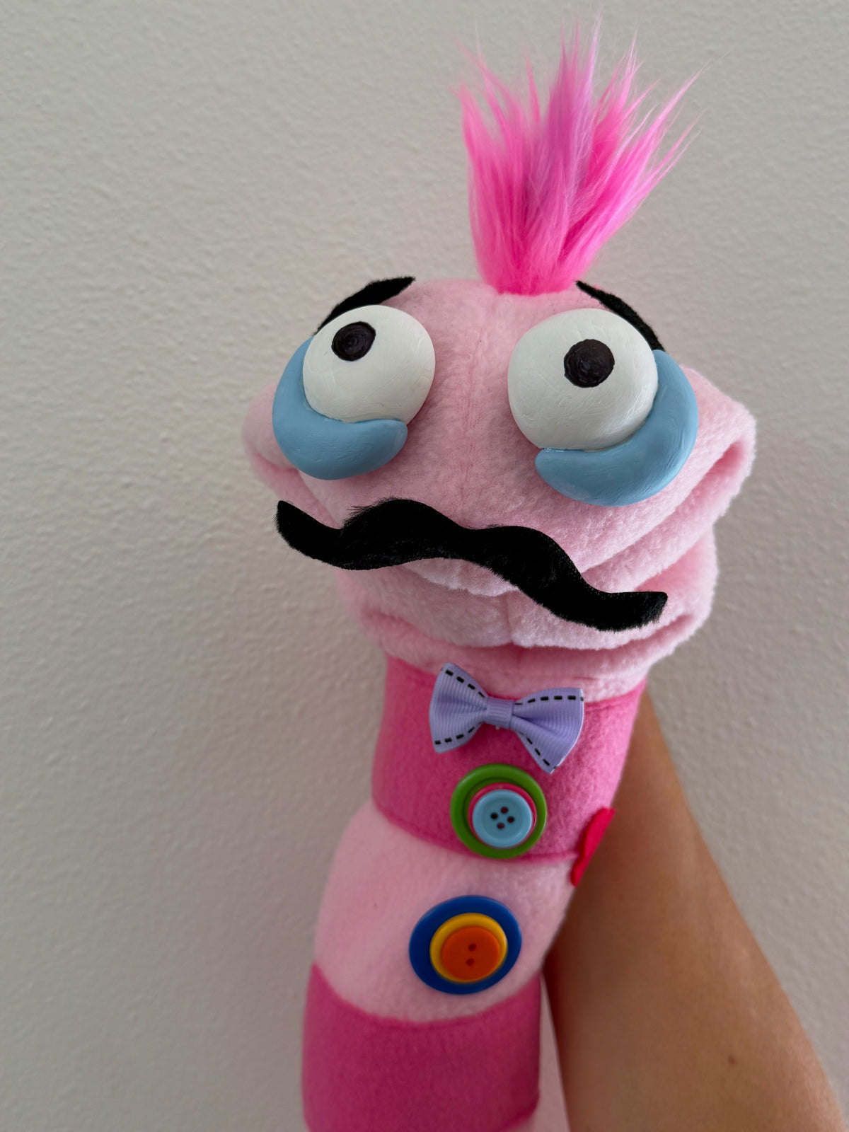Virtual Mini Show/Q&A + Worm Puppet Workshop